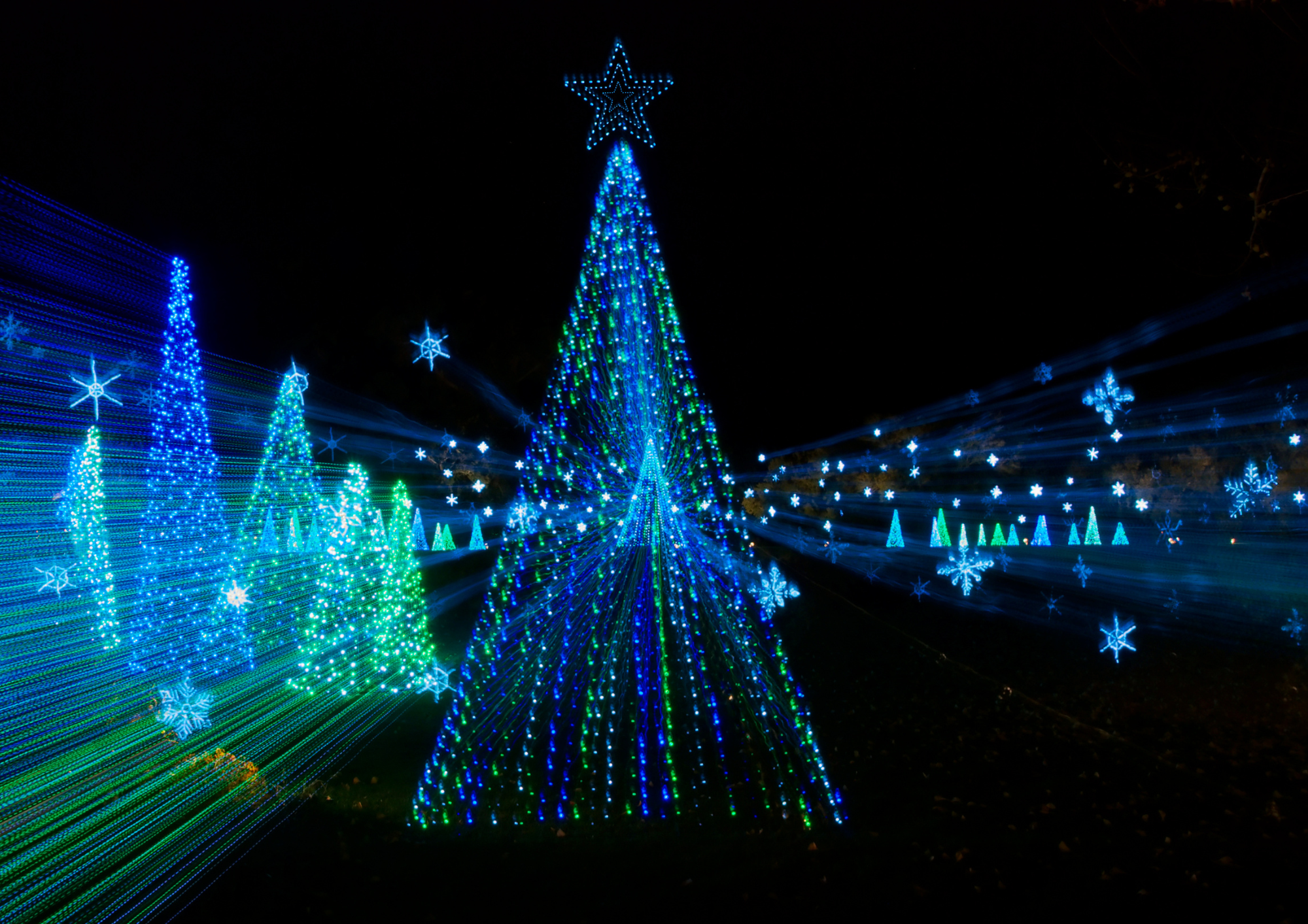 Decorate your home with festive lights and ask for donations to a local charity.